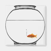 Goldfish in bowl magneet (Voorkant)