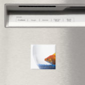 Goldfish in bowl op witte achtergrond magneet (Insitu (Vaatwasser))