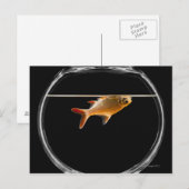 Goldfish in kom 2 briefkaart (Voorkant / Achterkant)