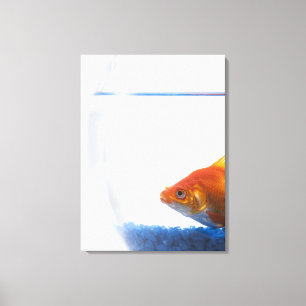 Goldfish in kom op witte achtergrond canvas afdruk