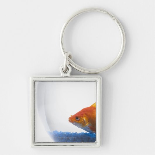 Goldfish in kom op witte achtergrond sleutelhanger (Voorkant)
