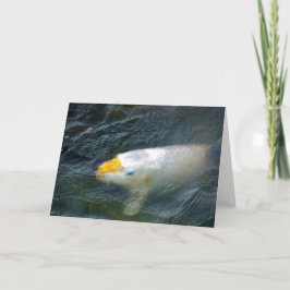 Goldfish in Lake Kaart