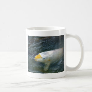 Goldfish in Lake Koffiemok