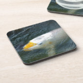 Goldfish in Lake Onderzetter (Linkerzijde)