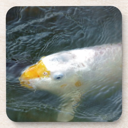 Goldfish in Lake Onderzetter (Voorkant)