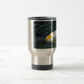 Goldfish in Lake Reisbeker (Center)