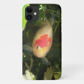 Goldfish iPhone 3 Case (Achterkant)