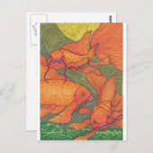 Goldfish - Koi Briefkaart (Voorkant / Achterkant)
