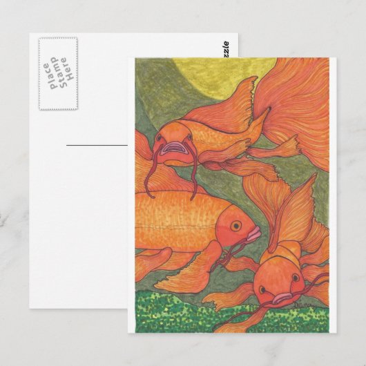 Goldfish - Koi Briefkaart (Voorkant / Achterkant)