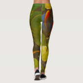Goldfish Koi Pond Water Lilies Leggings (Achterkant)