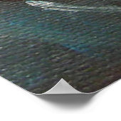 Goldfish Koi Pond Water Lilies Poster (Hoek)