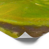 Goldfish Koi Pond Water Lilies Poster (Hoek)