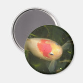 Goldfish Magnet (Voorkant / Achterkant)