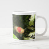 Goldfish Mok (Rechts)