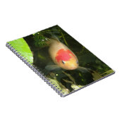 Goldfish Notitieboek (Rechterzijde)