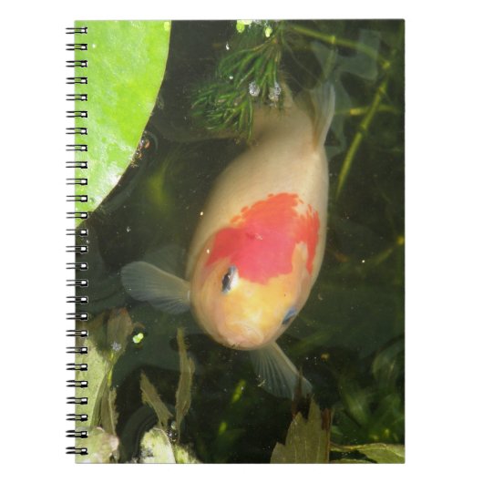 Goldfish Notitieboek (Voorkant)