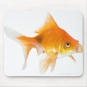 Goldfish op witte achtergrond muismat