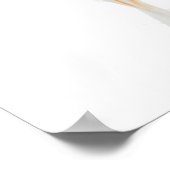 Goldfish op witte achtergrond poster (Hoek)