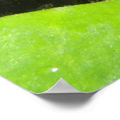 Goldfish print (Hoek)