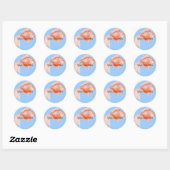 Goldfish Stickers (Vel)