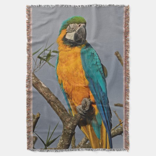 Goldie Blue Throw Blanket Deken (Voorkant Verticaal)