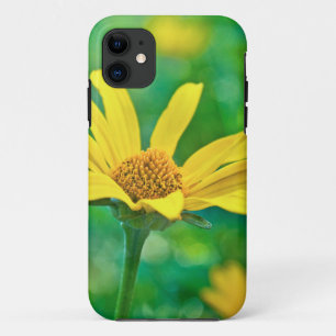 Goldie Case-Mate iPhone Case