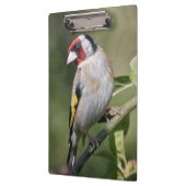 Goldie Clipboard Klembord (Links)