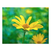 Goldie Foto Afdruk (Voorkant)