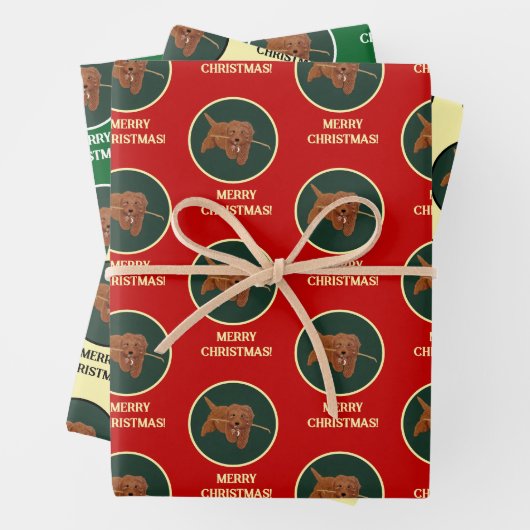 Goldie Golden Doodle Inpakpapier Vel (In situ)