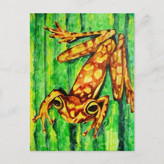 Goldie The Tree Frog Briefkaarten (Voorkant)