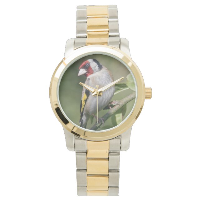 Goldie Watch Horloge (Voorkant)