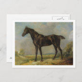 Golding Constable's Black Riding-Horse, c.1805-10 Briefkaart (Voorkant / Achterkant)
