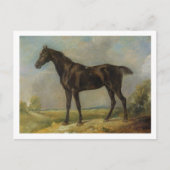 Golding Constable's Black Riding-Horse, c.1805-10 Briefkaart (Voorkant)