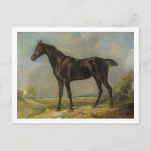 Golding Constable's Black Riding-Horse, c.1805-10 Briefkaart