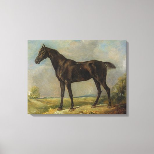 Golding Constable's Black Riding-Horse, c.1805-10 Canvas Afdruk (Voorkant)