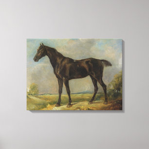 Golding Constable's Black Riding-Horse, c.1805-10 Canvas Afdruk