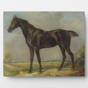 Golding Constable's Black Riding-Horse, c.1805-10 Fotoplaat
