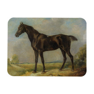 Golding Constable's Black Riding-Horse, c.1805-10 Magneet
