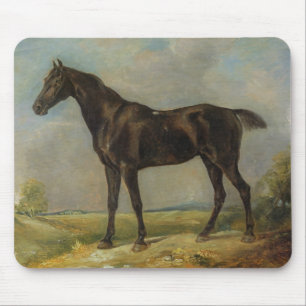 Golding Constable's Black Riding-Horse, c.1805-10 Muismat