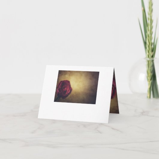 Golding Rose Vouw (Achterkant)