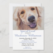 GOLDLEN LAB WENST GELUKKIGE VERJAARDAG KAART (Voorkant)