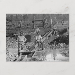 Goldminers Gold Rush Miners ~ California 1850 Briefkaart