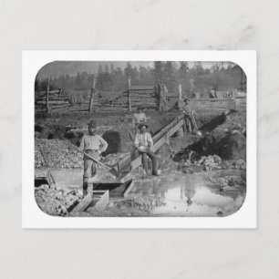 Goldminers Gold Rush Miners ~ California 1850 Briefkaart