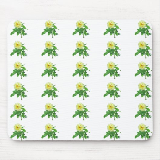 Goldstern Roos Muismat (Voorkant)