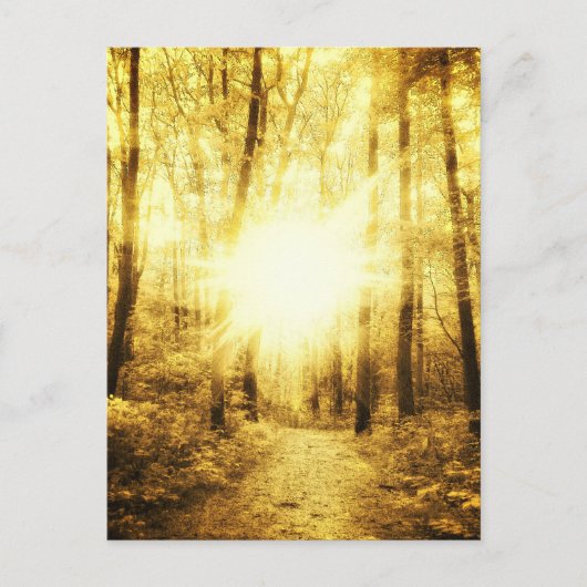 GOLDSUN2-BRIEFKAART BRIEFKAART (Voorkant)