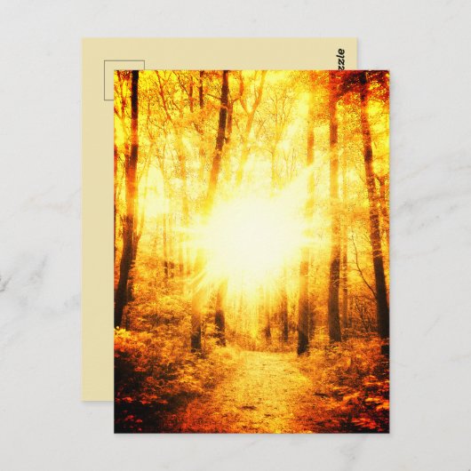 GOLDSUN BRIGHT BRIEFKAART (Voorkant / Achterkant)