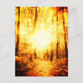 GOLDSUN BRIGHT BRIEFKAART
