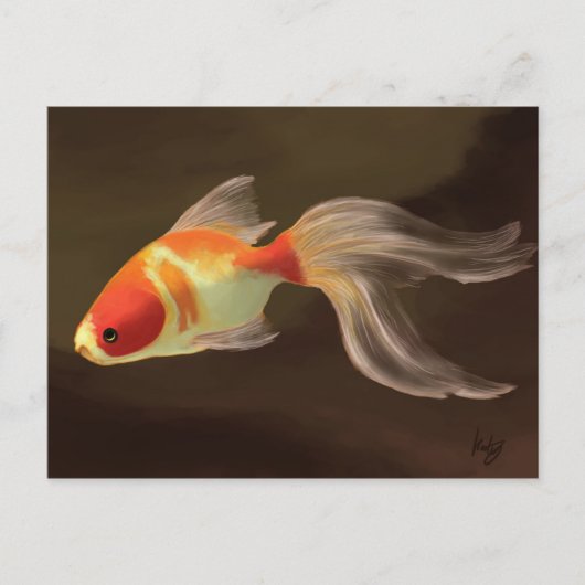 Goldvis Briefkaart (Voorkant)