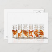 Goldvis Briefkaart (Voorkant / Achterkant)