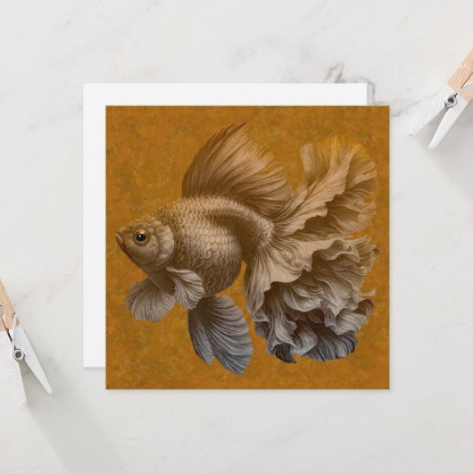 Goldvis Kaart (Voorkant / Achterkant in situ)